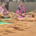 अबुझमाड़ की नई सुबह: जब जंगलों की छांव से निकलकर स्वावलंबन की मिसाल बनीं नारायणपुर की महिलाएं